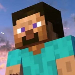 🔥 Steve MBTI | Minecraft Personality Types