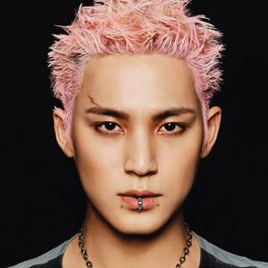 Mingyu (SEVENTEEN) Personality Type (MBTI, Enneagram, Song