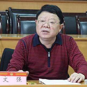 Wen Qiang (文强) Personality Type | Government Official MBTI