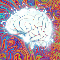 🔥 If DMT has a personality type...