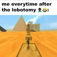 🔥 If Me everytime after the lobotomy 😂 has a personality type...