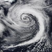 Cyclone Pfp 🔥 If Extra tropical Cyclone has a personality type...