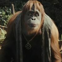 🔥 Raka MBTI | Kingdom of the Planet of the Apes Personality Types