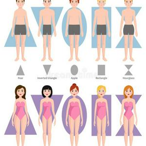 🔥 What's your body shape?